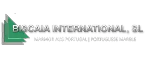 Biscaia International